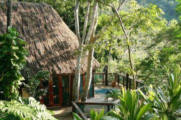 Thatched roof cottage in the jungle.