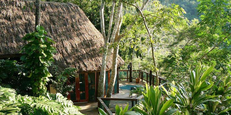 Thatched roof cottage in the jungle.