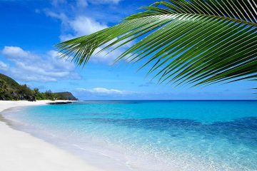 White sand beach with palm tree leaf.