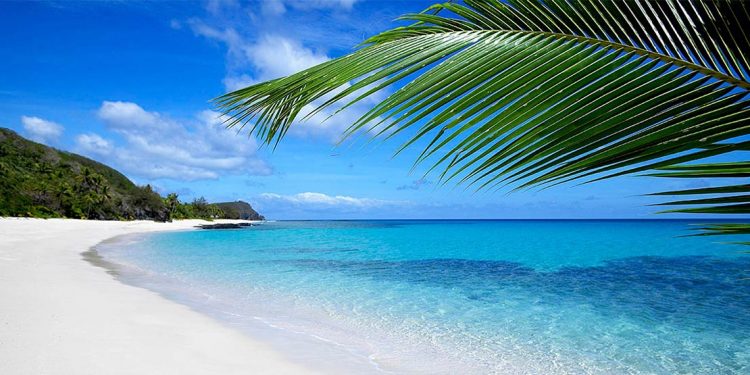 White sand beach with palm tree leaf.