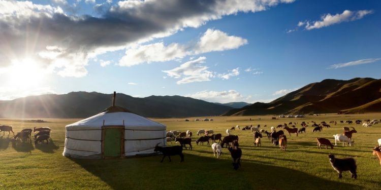 Sunrise in field with yurt and goats.