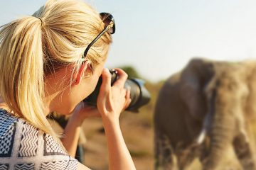 A woman takes a photo of an elephant