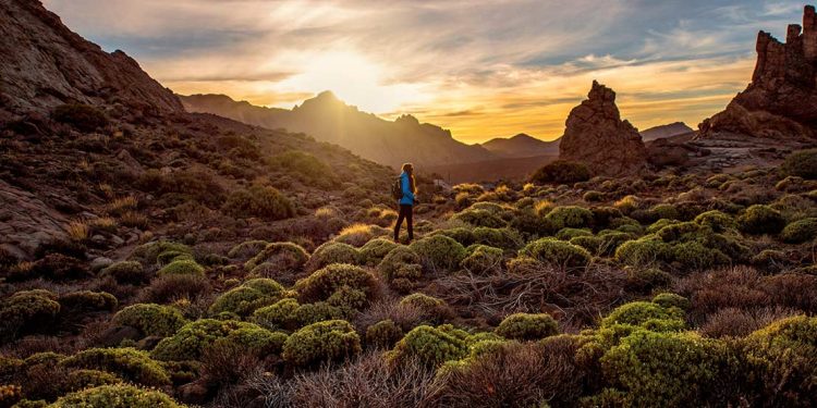 rocky landscape with green bushes in Teide park on Tenerife island on the sunset