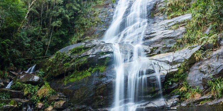A waterfall in tijuca national park rio de janeiro