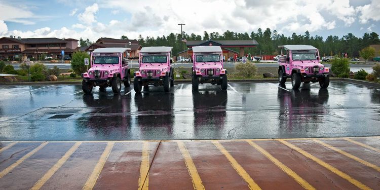 Pink Jeeps lined up in parking lot