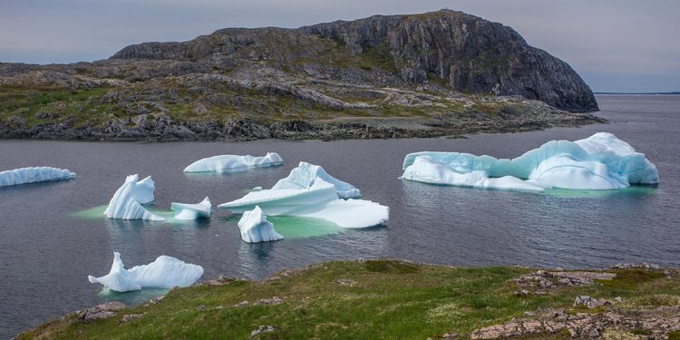 Icebergs off coast of Fogo Island