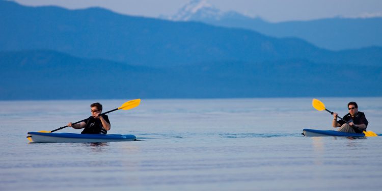 Two people kayaking of coast of Vancouver Island