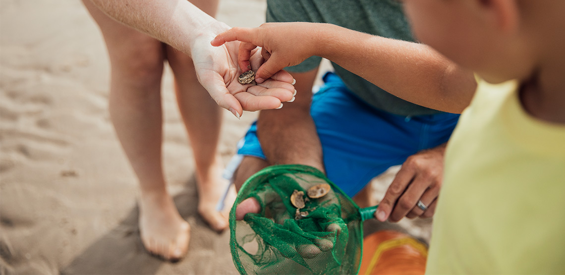 Child taking shell out of net