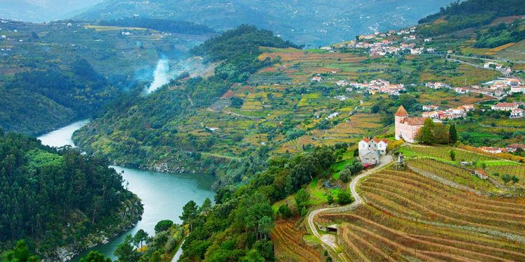 View of Douro river, wineyards and villages on a hills.