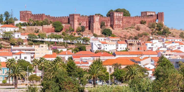 Silves castle above city with palm trees