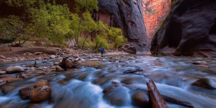 Autumn of the narrows and Virgin River in Zion National Park Zion, usa