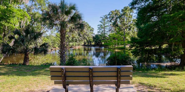 Park bench overlooking pond
