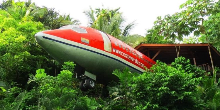 Fuselage sticking out of trees with cabin in background.