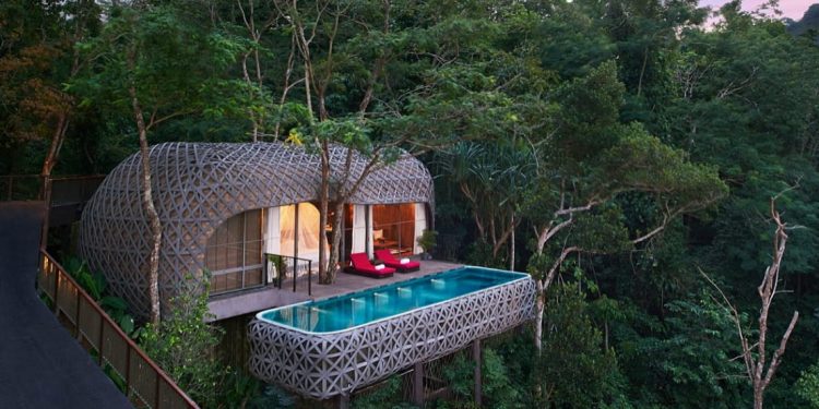 Treehouse hotel in trees with private pool and balcony