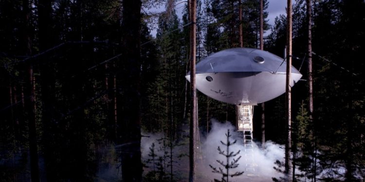 UFO treehouse in the woods with mist
