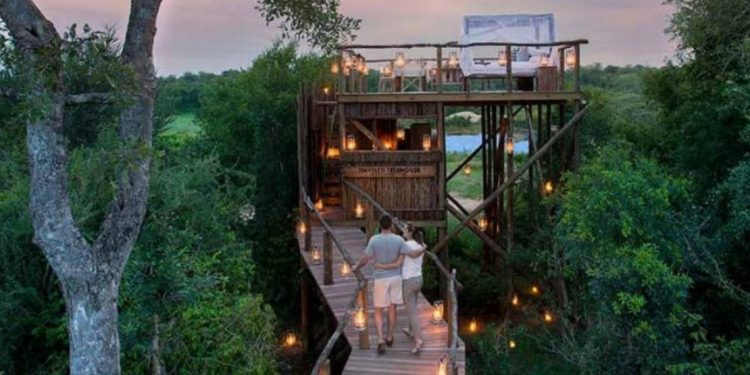 Walkway leading to open-air treehouse