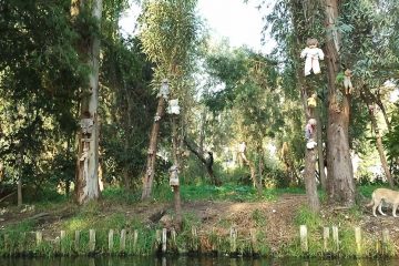 Dolls hanging from trees on an island.