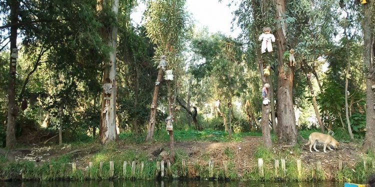Dolls hanging from trees on an island.