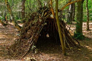 Shelter made in the woods