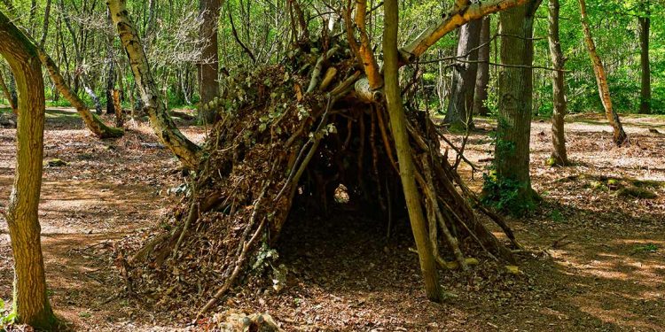 Shelter made in the woods