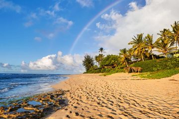 A sandy beach in Oahu