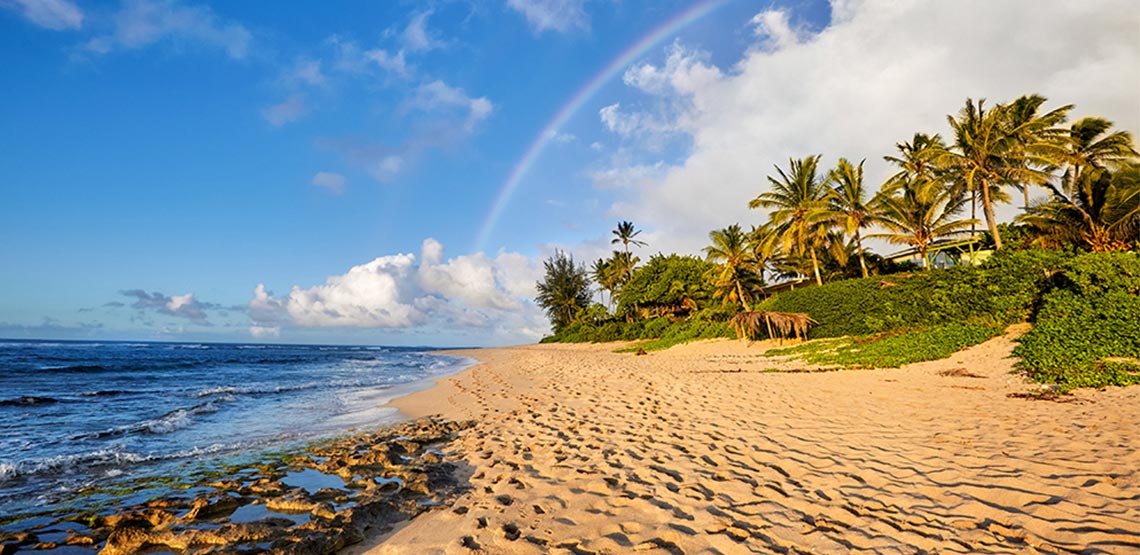 A sandy beach in Oahu