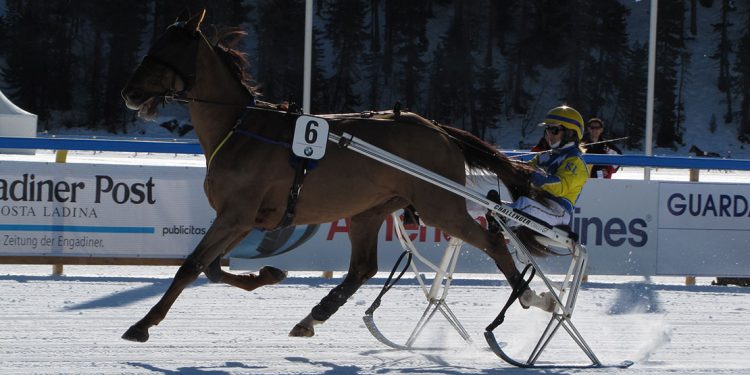 Jockey on a sled behind a horse