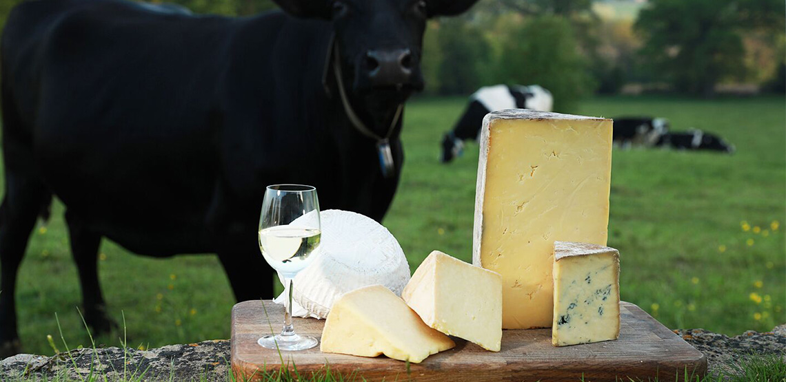 Cheese on cutting board with glass of wine and cows in background