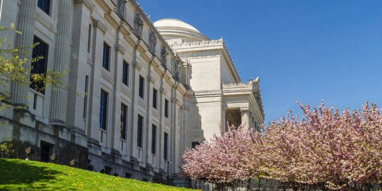 The Brooklyn Museum lawn and cherry trees