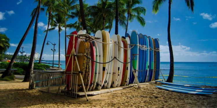 Beach in Hawaii with surfboards standing up