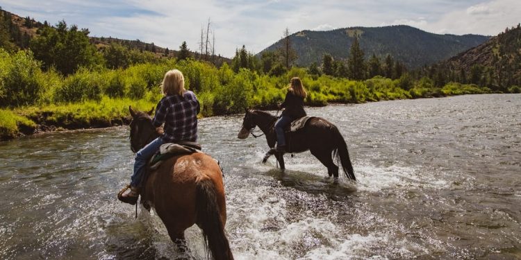 Horses crossing a river at Crossed Sabres Ranch