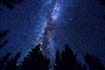 The Milky Way with silhouettes of pine trees