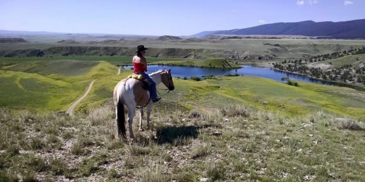 Horse overlooking the river at Klondike Ranch