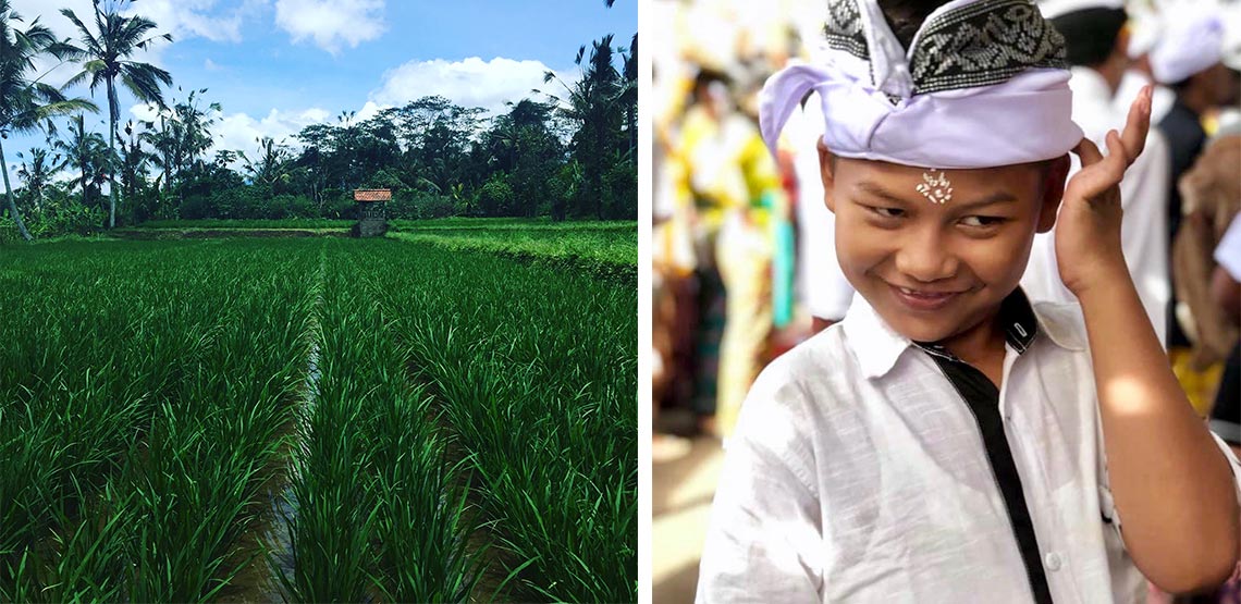 Rice paddies and a young Balinese boy