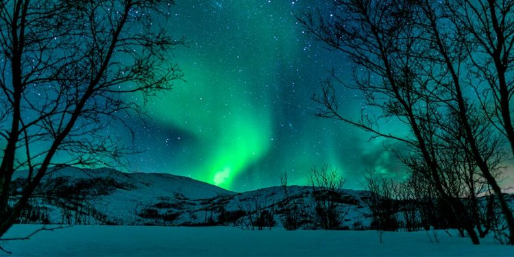 The Northern Lights over snowy outdoor scape