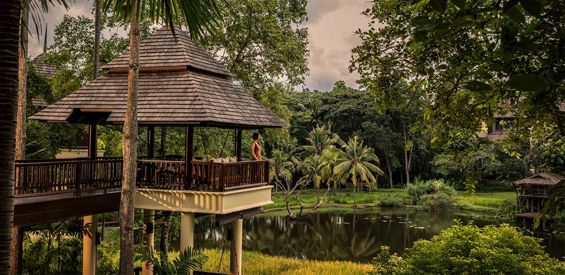 Gazebo overlooking pond in jungle