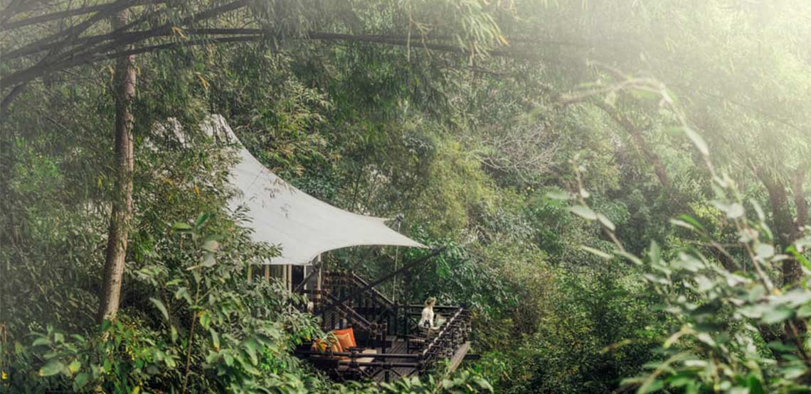 Tented camp in jungle