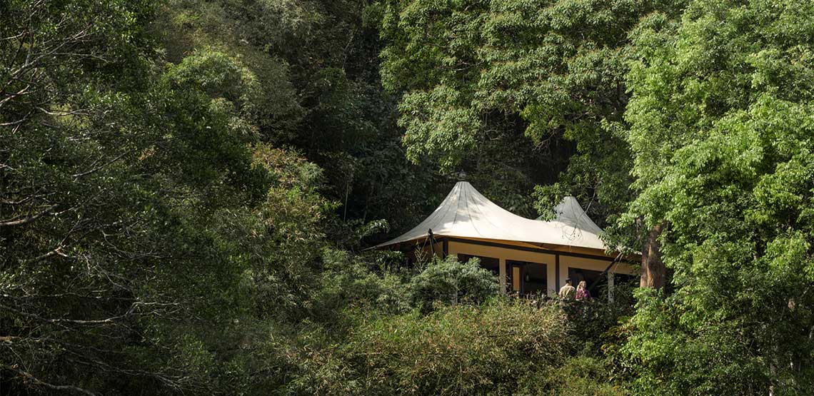 Tented camp in trees
