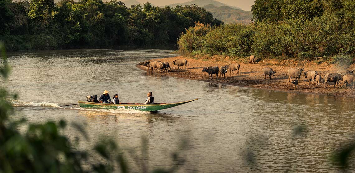 Boat cruising down river with water buffalo near edge