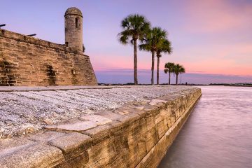 Old walls with palm trees