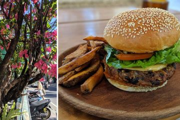 Tree on street in bloom and vegan burger and fries on wooden plate