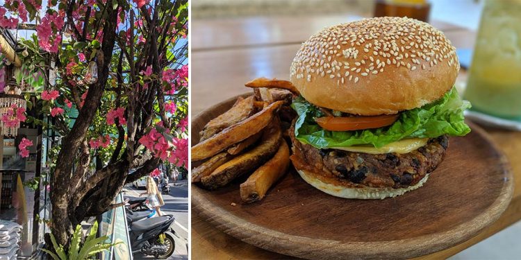 Tree on street in bloom and vegan burger and fries on wooden plate