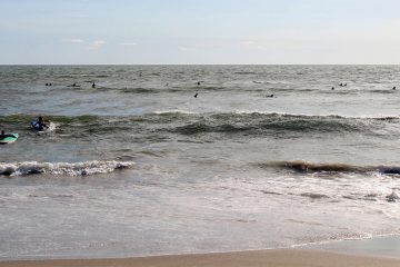 People in the water with their surfboards