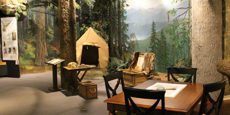 Table and chairs and tent at an exhibit