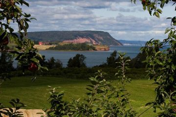 Red cliff beside the ocean through apple tree branches