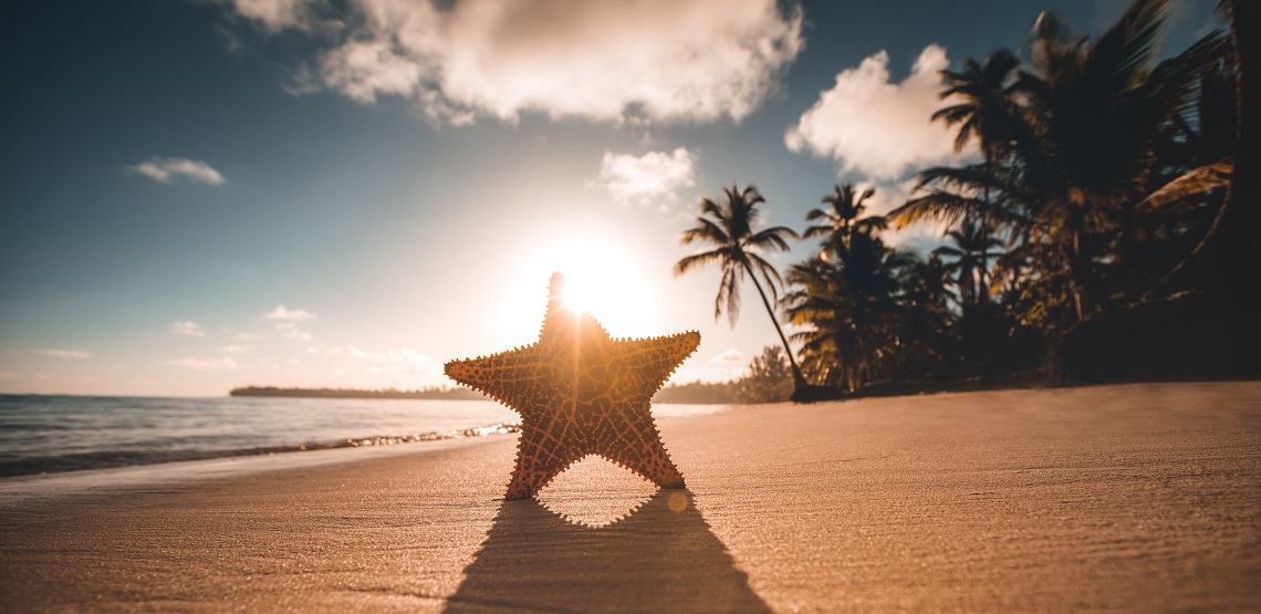 The rising sun peeks over the edge of a starfish propped up on a golden stretch of sand.
