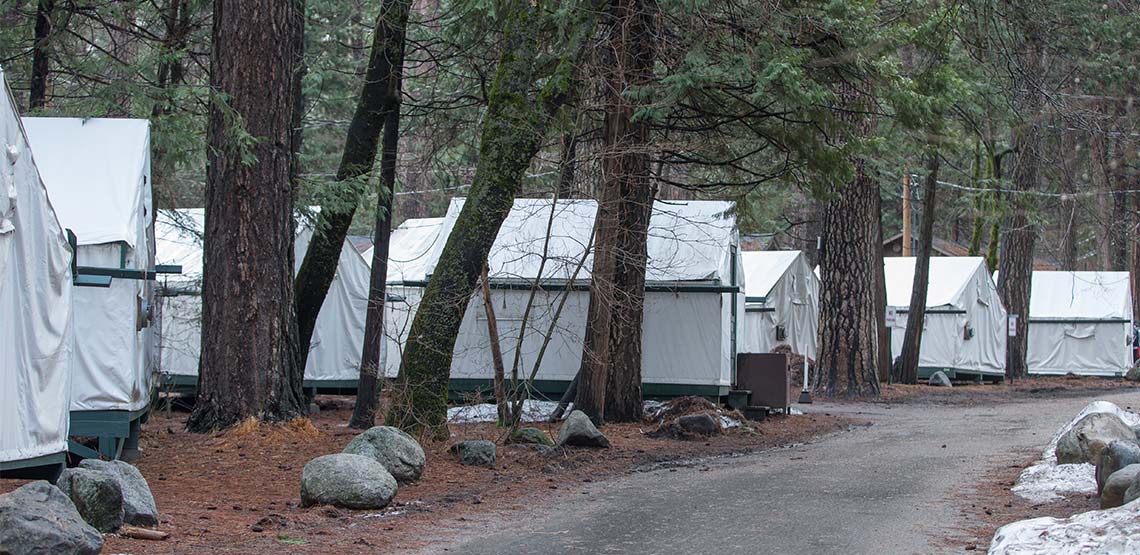 Tent accommodations among trees