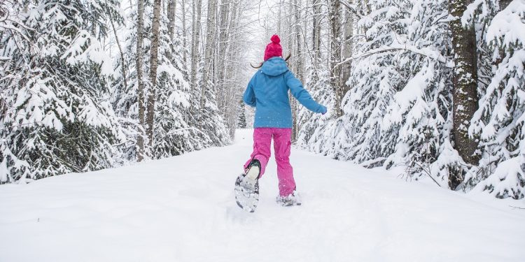 A woman in teal and pink snowshoeing down a wooded path.
