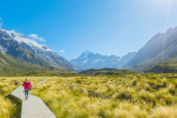 Someone walking on a boardwalk in New Zealand.