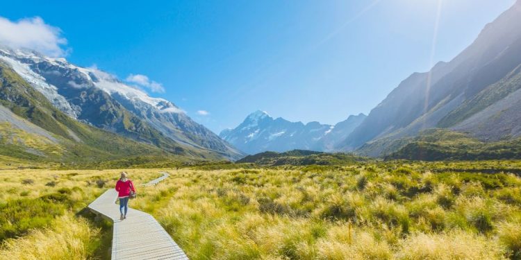 Someone walking on a boardwalk in New Zealand.